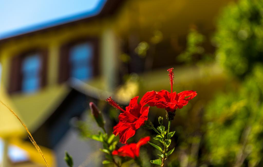 Marmaris Holiday Villas 외부 사진