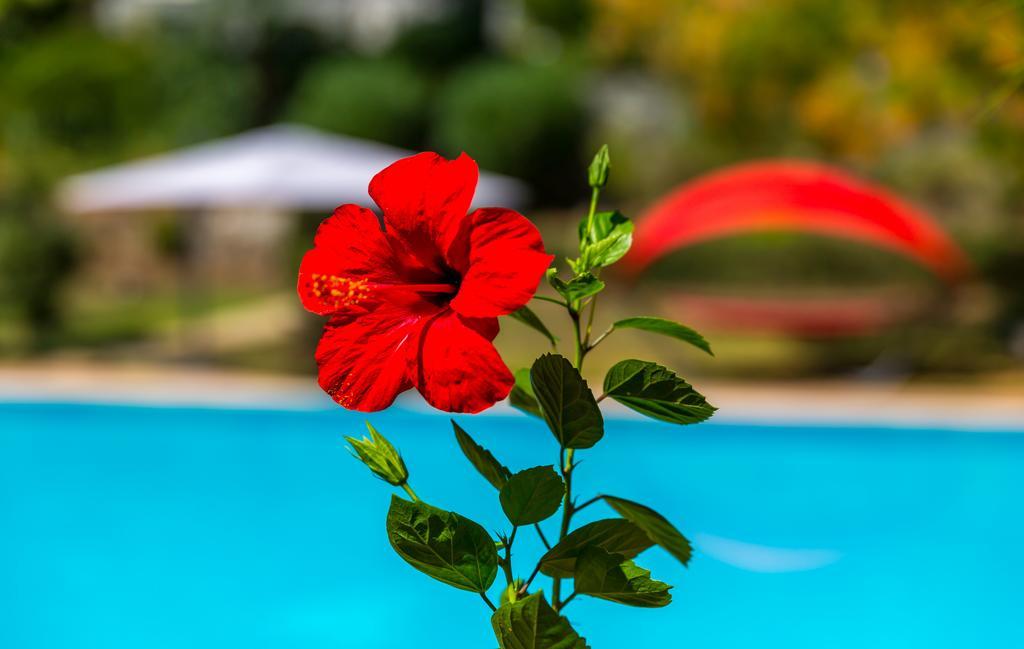 Marmaris Holiday Villas 외부 사진